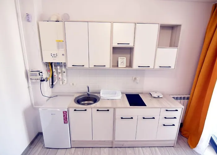 Cris Sunny Apartment Navodari